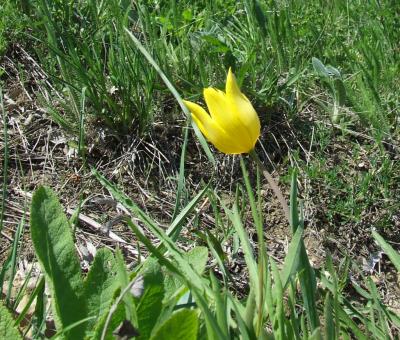 Прикрепленное изображение: 308.jpg